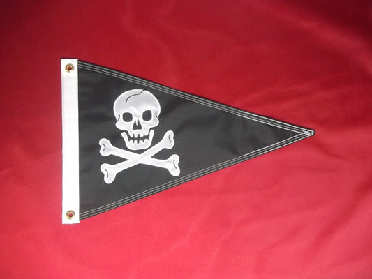 Pennant with a Custom Graphic
